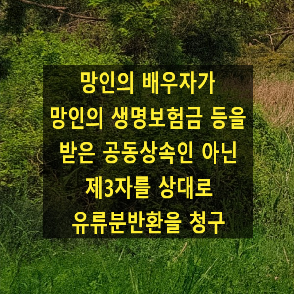  망인의 배우자가 망인의 생명보험금 등을 받은 공동상속인 아닌 제3자를 상대로 유류분반환을 청구(대법원 2022. 8. 11. 선고 2020다247428)