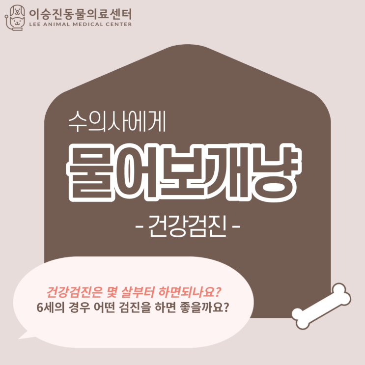  강아지건강검진 시기/ 주기 ,건강검진 언제부터 받으면 좋을까요?강아지 건강검진 필요성!