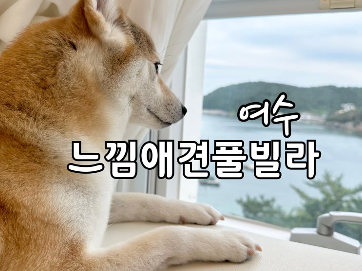  여수느낌애견풀빌라 1박2일 후기
