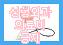 나나 성형외과 김형준 원장님의 다양한 성형외과 검진 종류 제공