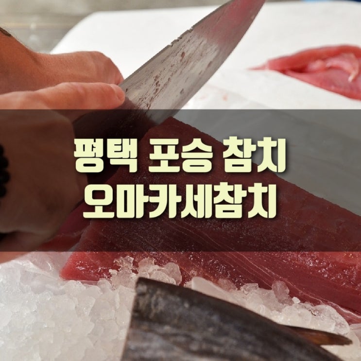  [맛집] 평택 포승 참치, 오마카세참치전문점, 평택 모임하기 좋은곳