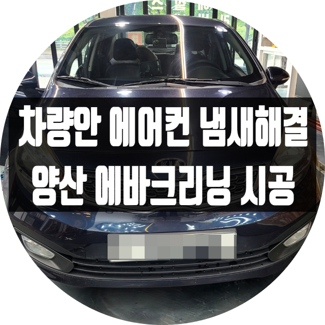  양산에바크리닝 실내외세차 전문점