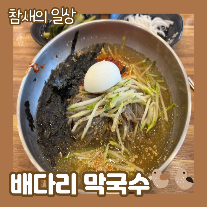 평택 비전동 막국수 맛집 '배다리 막국수' 들깨수제비,파전,수육