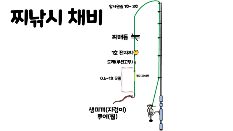 간단한 지렁이 다이어그램