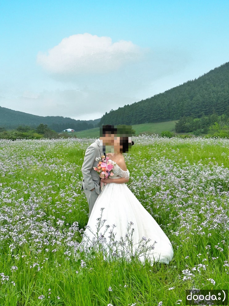  [제주스냅]연그라미 4월 촬영후기+뷰티인사이드제주, 오늘도활짝피었습니다 / 날씨 흐리고 비옴 주의ㅠ