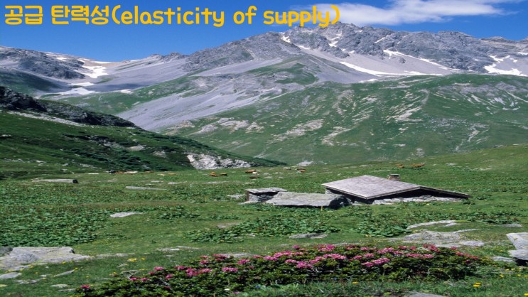 공급 탄력성(elasticity of supply)
