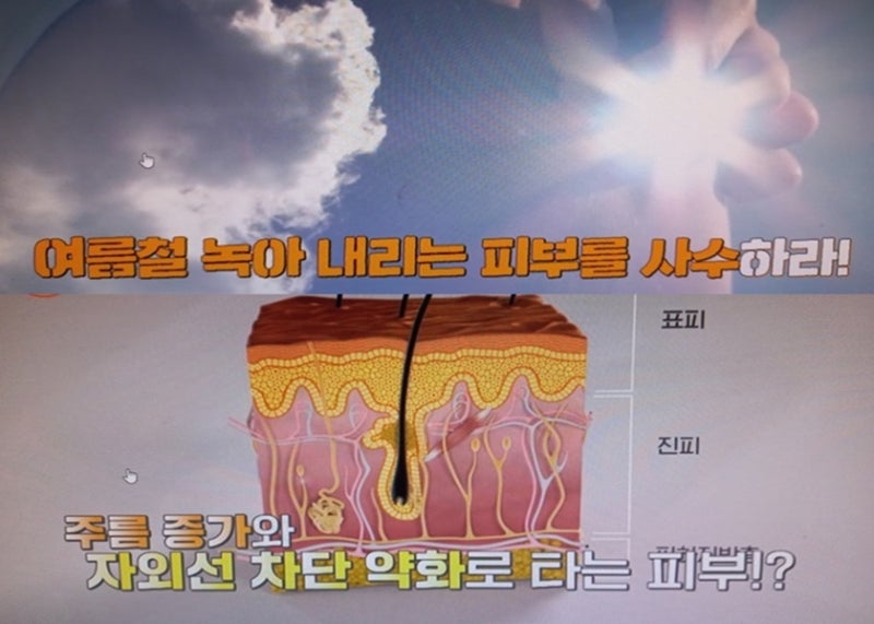 MBN명을사수하는사람들 명사수/김혜성교수건강한피부지키는방법/이현경,이현영자매피부건....