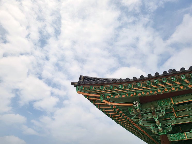  경주 동궁과 월지 연꽃 개화상황(입장료, 주차, 관람시간)