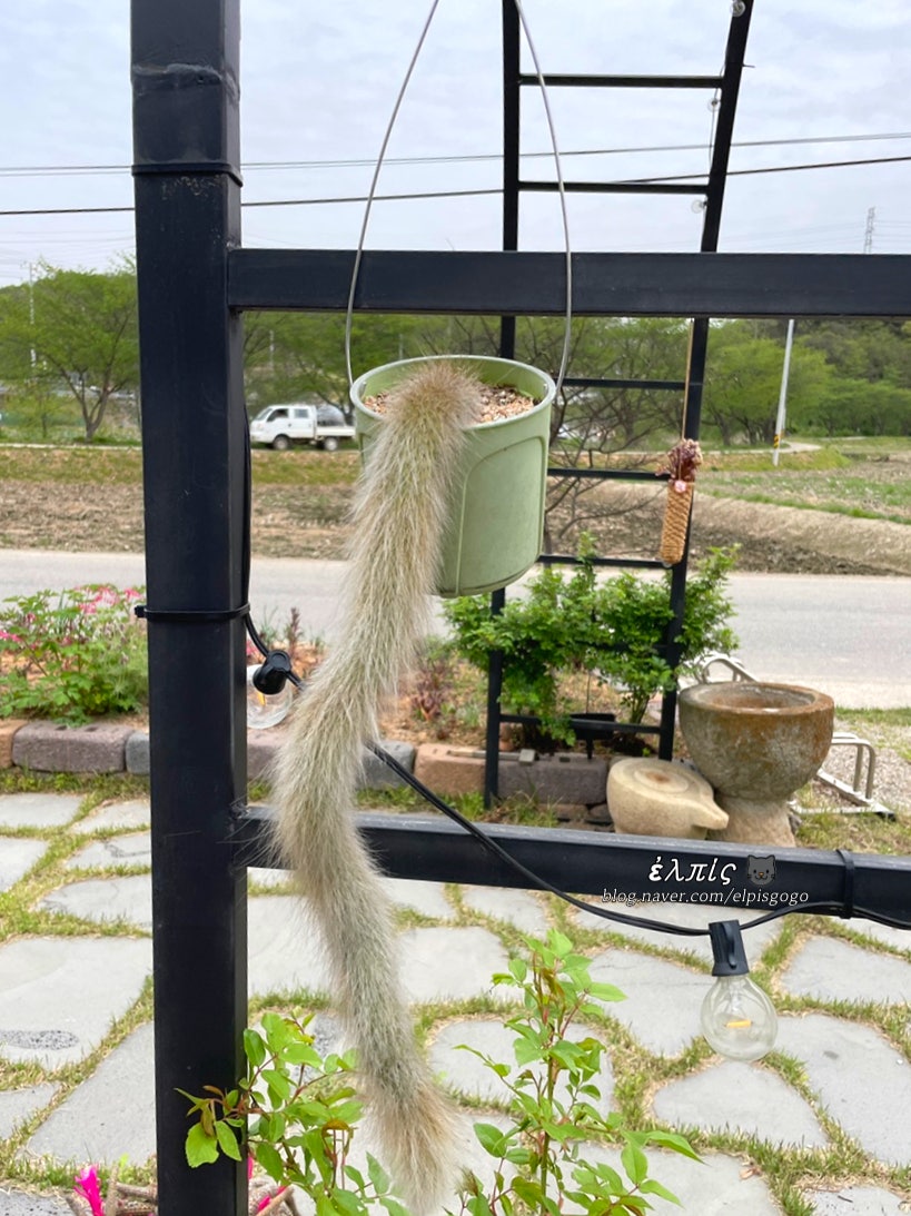 아트카페세실 사진 3