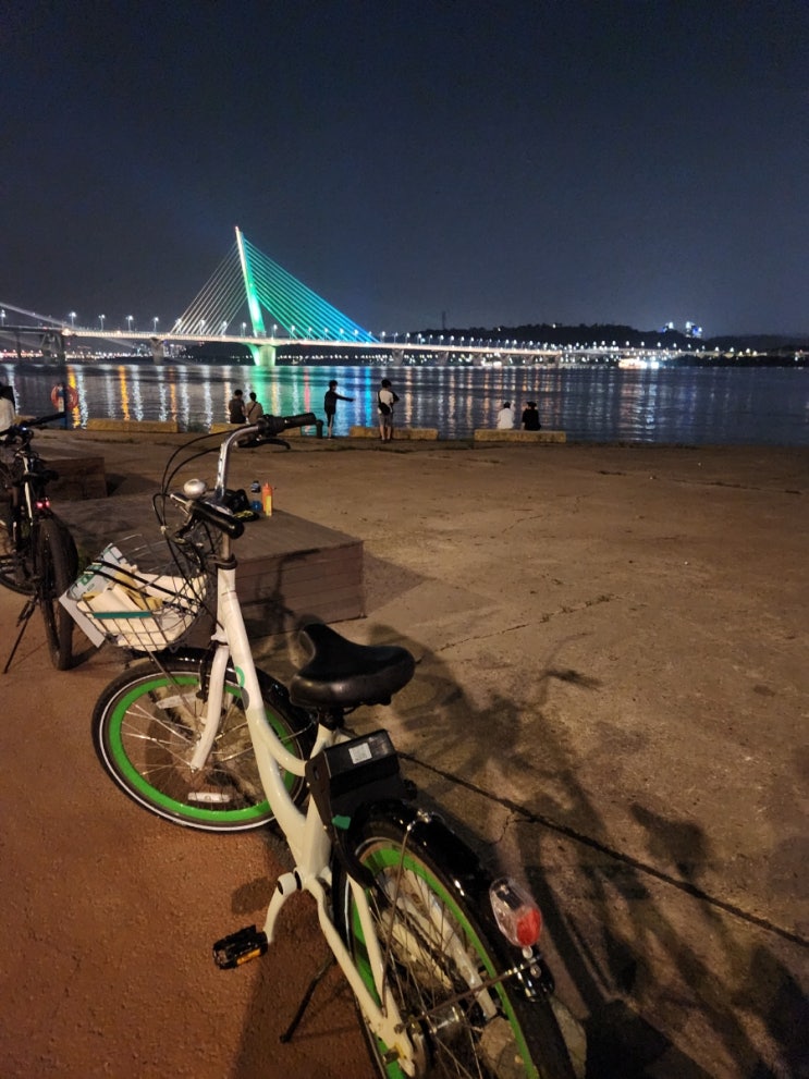 [한강 나들이] 따릉이X티머니go :: 무료로 타고 한강 데이트 서울시 공영 자전거 타기!
