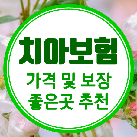 치아보험 비용 보장내용 좋은 20대 치아보험 금액 비교 후 선택할 수 있어요.