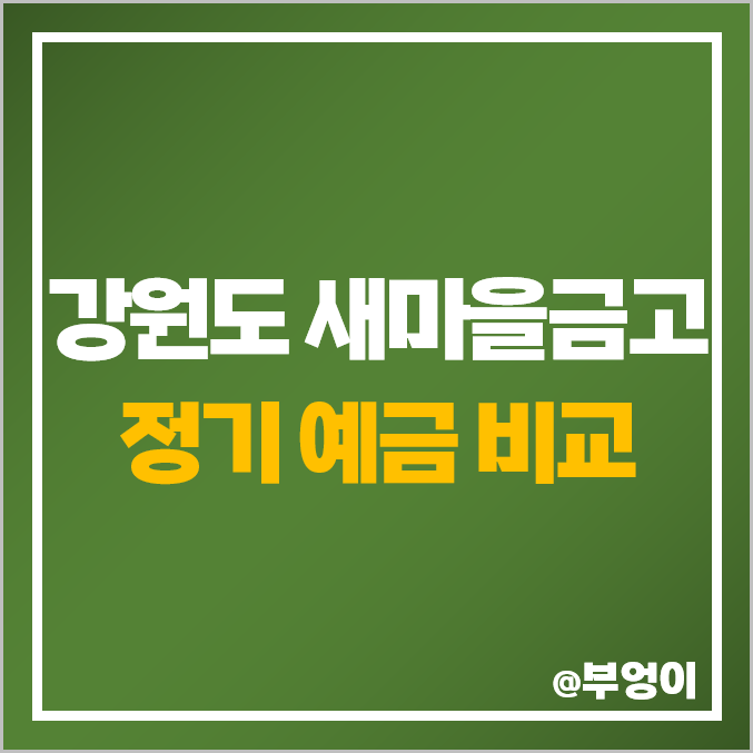 강원도 MG 새마을금고 정기 예금 이자, 특판 금리 높은 곳 비교 추천 강원도 MG 새마을금고 정기 예금 이자, 특판 금리 높은 곳 비교 추천
