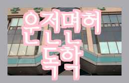  운전면허 독학 일기