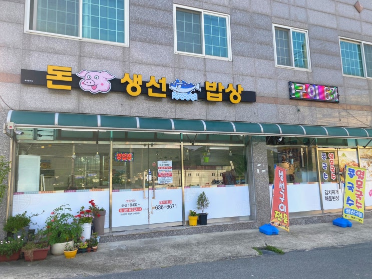  거제도 맛집 추천 ‘돈생선밥상’