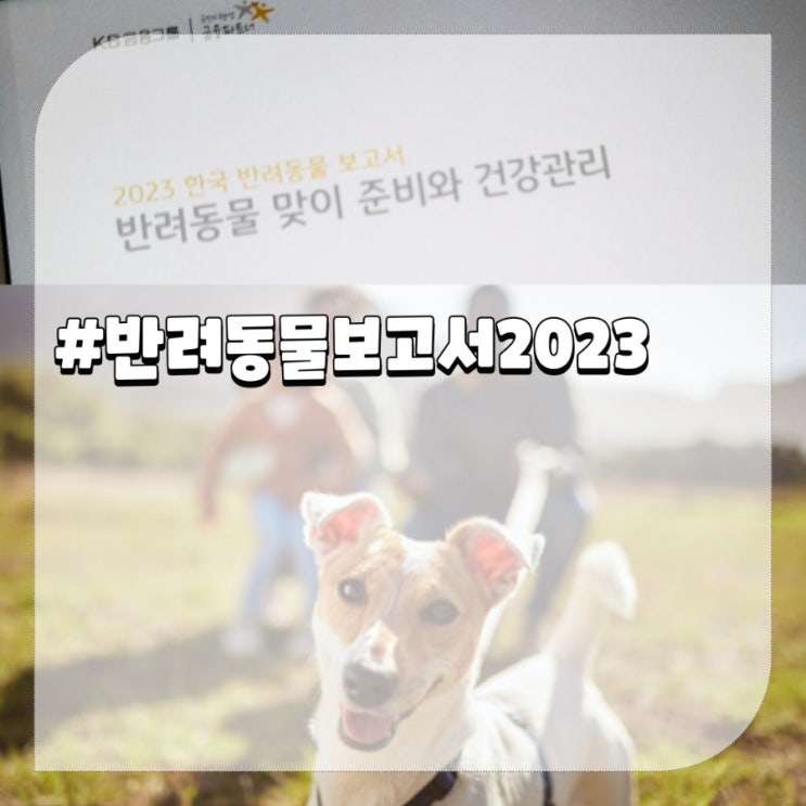  인기있는 강아지 종류 고양이 품종은?ft.한국 반려동물보고서 2023