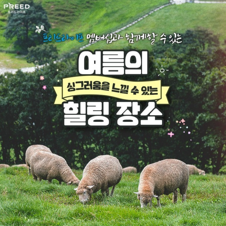 친절한 프리드 씨가 알려 주는 "프리드 라이프 멤버십과 함께할 수 있는 여름 힐링 장소"는 어디일까요~~? 친절한 프리드 씨가 알려 주는 "프리드 라이프 멤버십과 함께할 수 있는 여름 힐링 장소"는 어디일까요~~?
