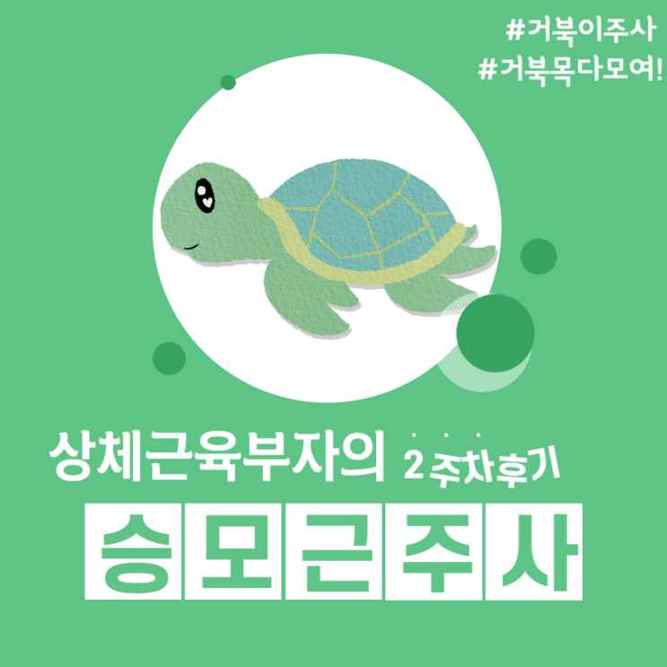  청담 승모근보톡스 (거북이주사) 2주차 후기, 부작용, 운동 