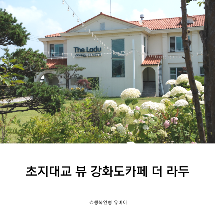  초지대교 뷰를 자랑하는 강화도카페 애견동반 가능한 더 라두