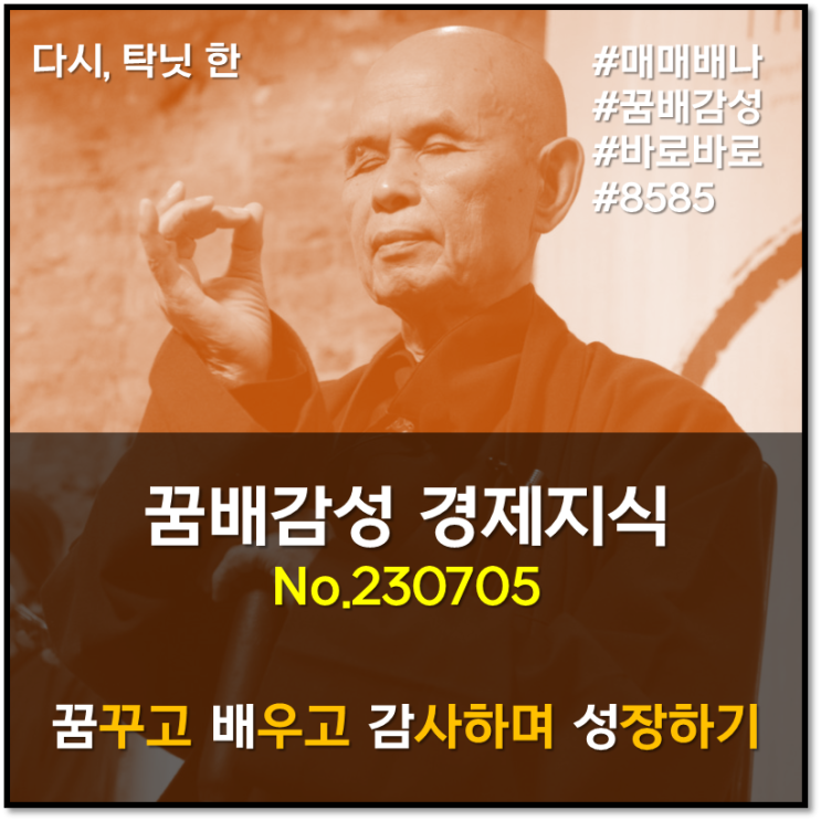 꿈배감성 경제지식 (230705)