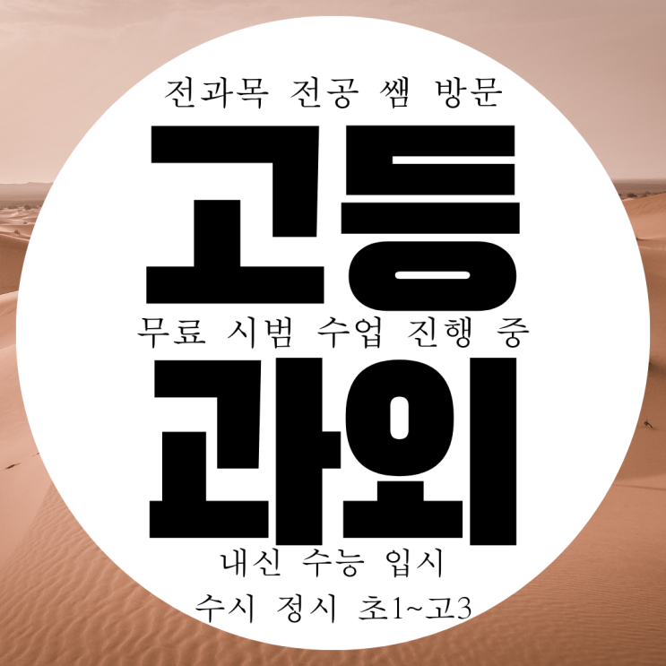  성남 고등동 초등학생 영어과외 왕남초 전문 수학과외 국어 과학 사회