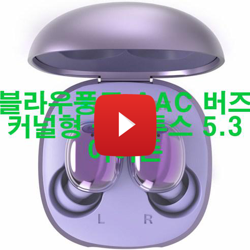 블라우풍트 AAC 버즈 커널형 블루투스 5.3 이어폰 신품 저렴하게 팝니다! 어메이징!!!