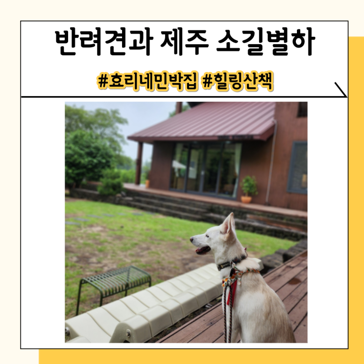 제주 소길별하 애견동반 가능한 효리네민박 집 살펴보기 제주 소길별하 애견동반 가능한 효리네민박 집 살펴보기