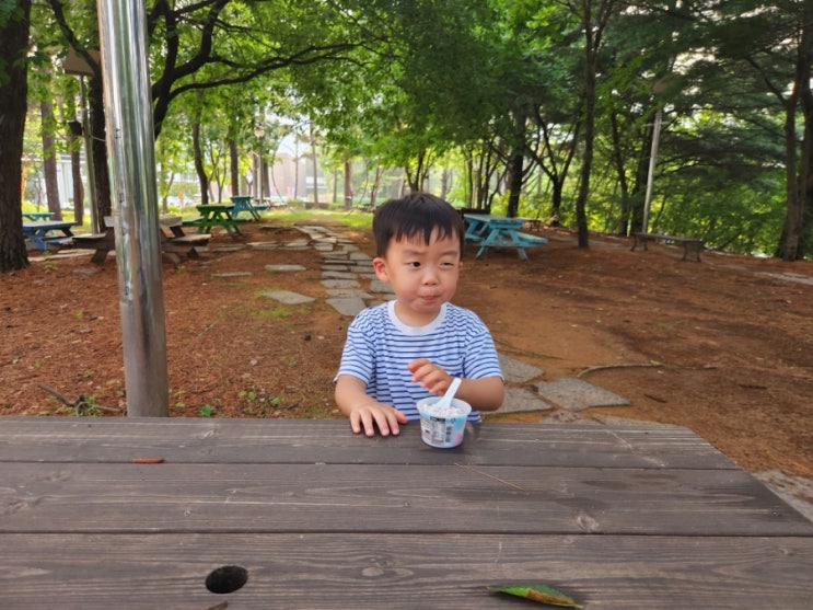  충남 여름여행 1박2일 다녀왔어요(4살 아이와 함께, 예산 태안 여행일정)