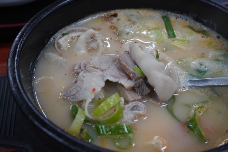 울산 북구 24시 밀양 돼지국밥 사골진국 맛집