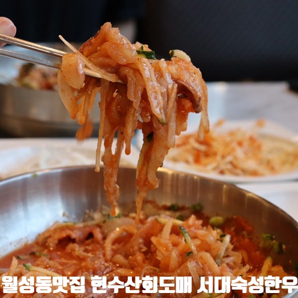  대구 월성동 맛집) 현수산회도매 서대숙성한우 - 해물한상과 가성비좋은 점심특선을 즐길수있는집