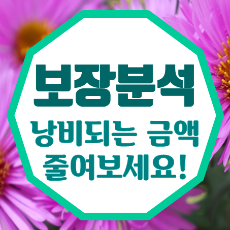  내가 가입한 보험보장분석 및 낭비되는 보험료 줄이기 지금 시작하세요.