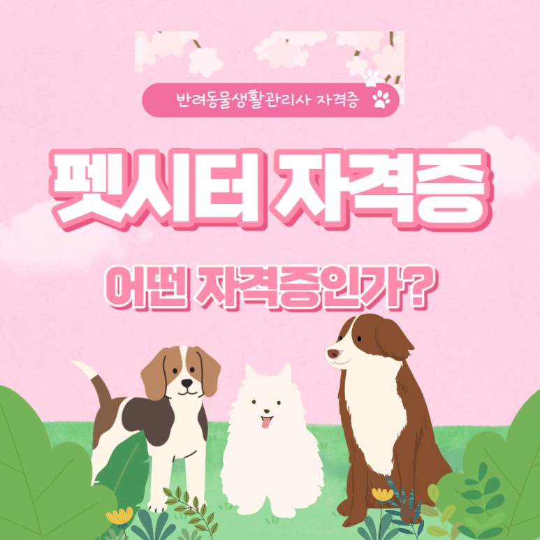 온라인 온라인 Petsitter 인증을 취득하는 방법