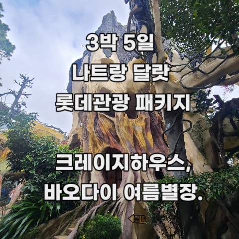  [3박5일 나트랑 달랏] 롯데 관광 패키지여행 : 9. 4일차 기록 _ 항응아 크레이지 하우스, 바오다이 황제의 여름 별장