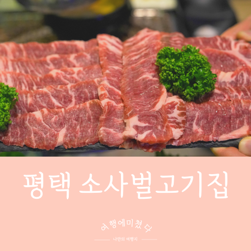  사거리고깃집 경기 평택 맛집 소사벌 고기집 소고기맛집추천