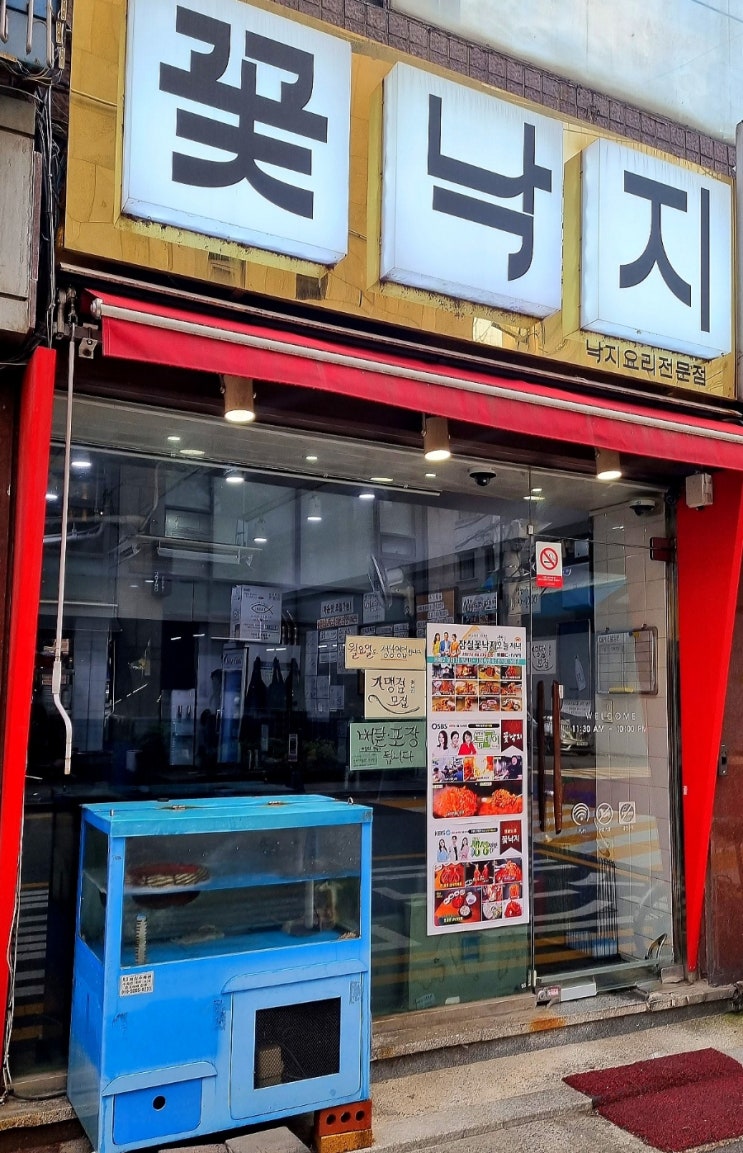  [잠실낙지맛집] 오동통한 산낙지가 통으로 들어간 잠실 꽃낙지 후기