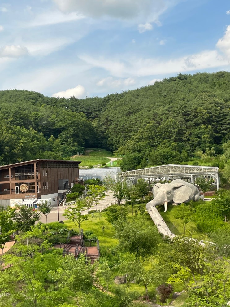  합천 여행 가볼 만한 곳 합천영상테마파크 아이들과 놀기 좋은 곳