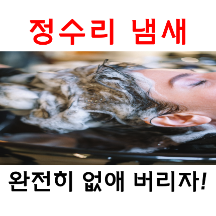  정수리 냄새 잡는법, 제발 광고에 속지 말고 이렇게만 하세요