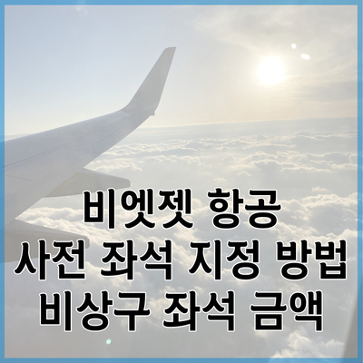 비엣젯 항공 비상구 좌석 지정 방법 아이와 여행 시 참고할 점