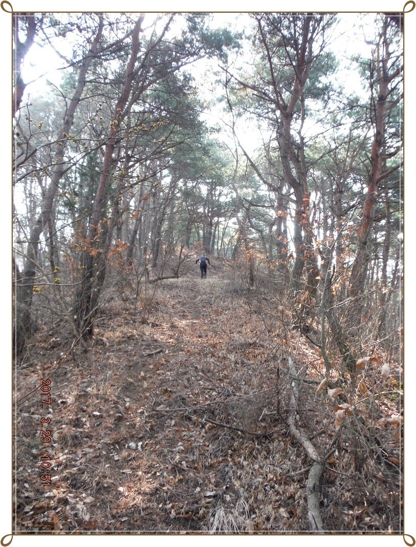운남산 사진 4