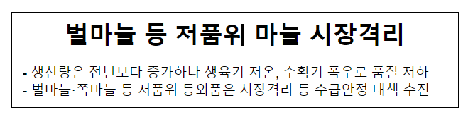 벌마늘 등 저품위 마늘 시장격리 벌마늘 등 저품위 마늘 시장격리