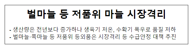 벌마늘 등 저품위 마늘 시장격리