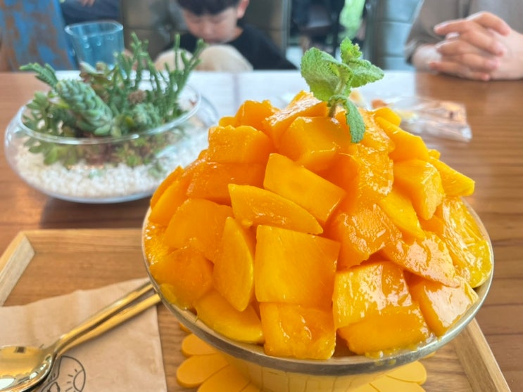  [제주여행/카페] 애플망고1947 :: 호텔 애플망고빙수도 이런맛 아닐까 맛있는 애플망고빙수 내돈내산