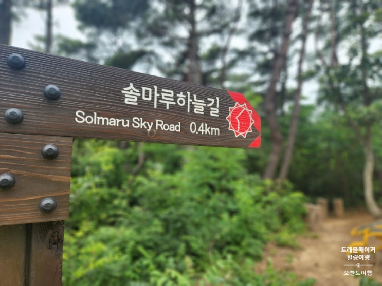  해파랑길 울산대공원 솔마루길을 걸으며 산책해요.