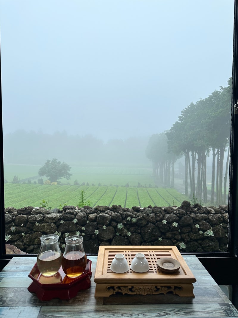 제주도 비올때, 안개낀날 가볼만한 곳(서귀포)-서귀다원, 방주교회 : 네이버 블로그, image size:800x1067