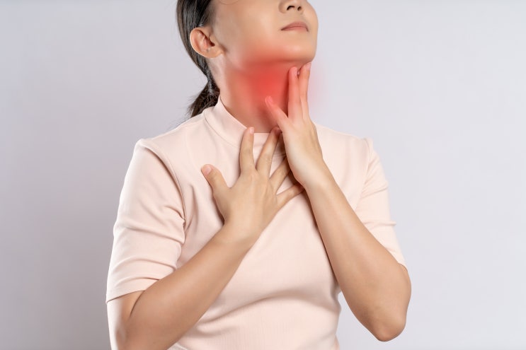  갑상선영양제, 갑상선에좋은음식은(ft.요오드효능, 요오드영양제 그랜티정 포뮬러)