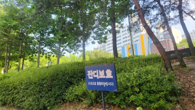 사진 2