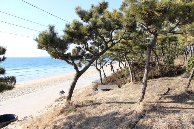   30년 이상 이혼없이 롱런한 부부는,서로 ""이 있다??