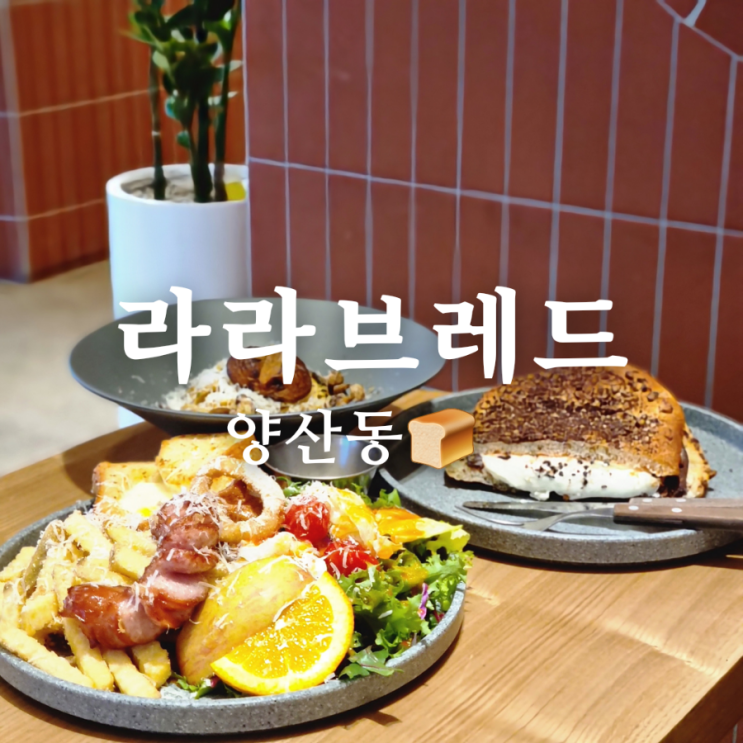  양산동 대형 베이커리 카페 라라브레드 최고야!