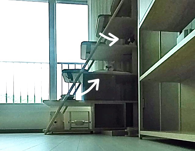  꼭꼭 숨어라