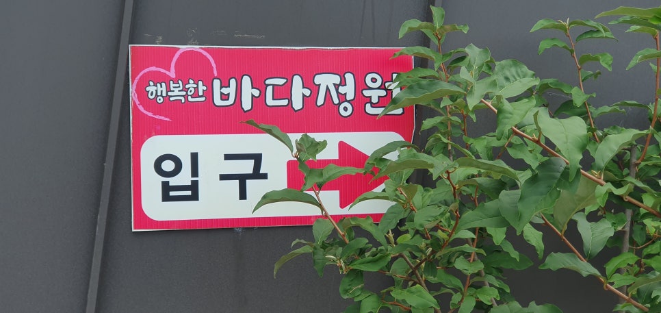 카페까망콩 사진 2