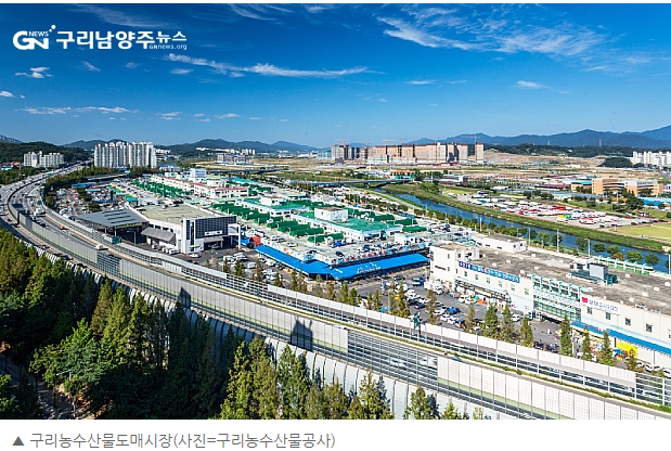  구리농수산물도매시장 2029년 사노동 이전 계획